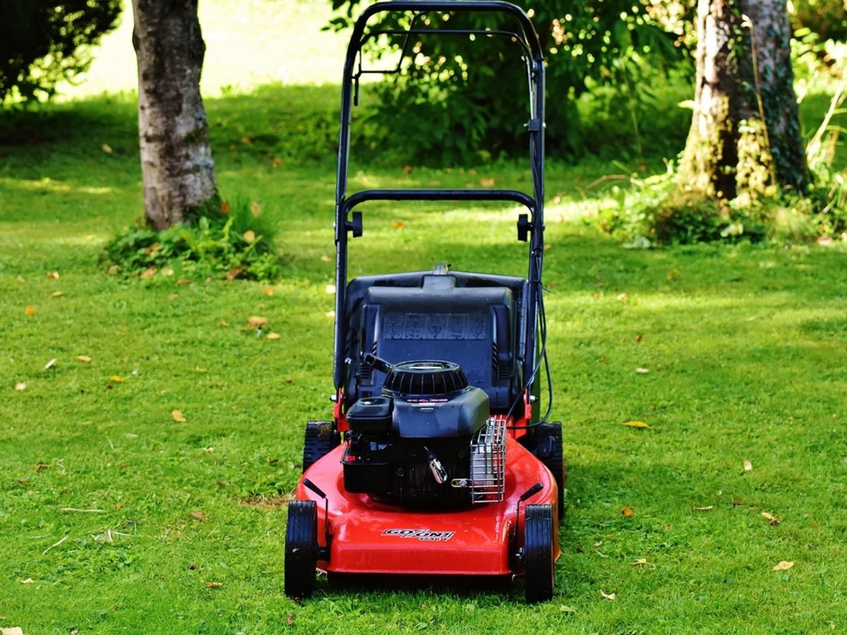 Lawn cutting & strimming
